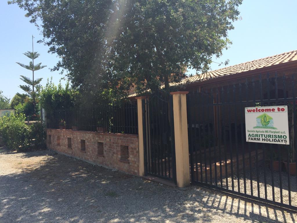 Società Agricola MG Florplant Francavilla Marittima Exterior foto